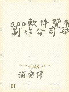 app软件开发制作公司哪家好一点