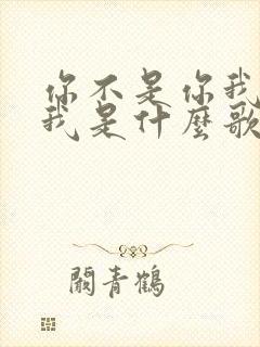 你不是你我不是我是什么歌