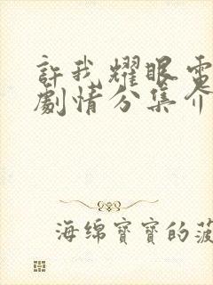 许我耀眼电视剧剧情分集介绍