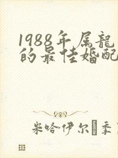 1988年属龙的最佳婚配表