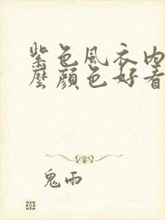 紫色风衣内搭什么颜色好看