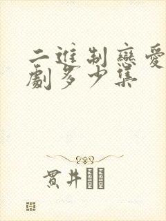 二进制恋爱电视剧多少集