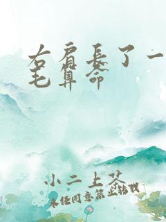 右肩长了一根白毛算命