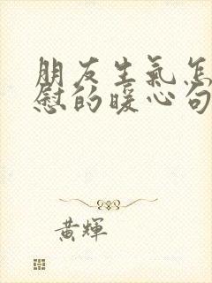 朋友生气怎么安慰的暖心句子