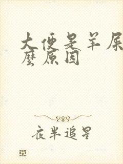 大便是羊屎是什么原因