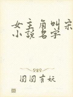 女主角叫宋婉的小说名字