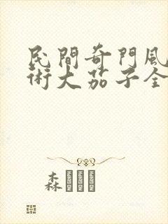 民间奇门风水秘术大茄子全文免费看