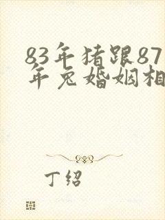 83年猪跟87年兔婚姻相配吗