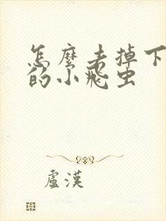 怎么去掉下水道的小飞虫