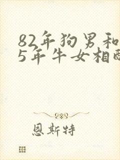 82年狗男和85年牛女相配婚姻如何