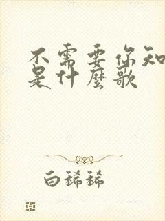 不需要你知道我是什么歌