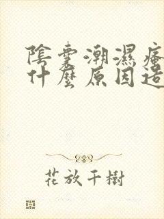 阴囊潮湿瘙痒是什么原因造