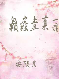 包皮上有一些小颗粒且不痛不痒