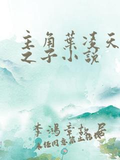 主角叶凌天黑暗之子小说