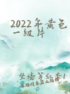 2022年黄色一级片