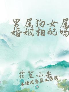 男属狗女属鼠的婚姻相配吗