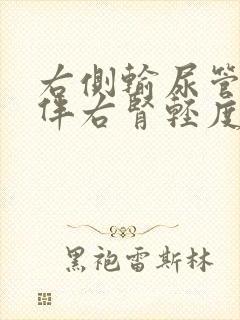 右侧输尿管结石伴右肾轻度积水