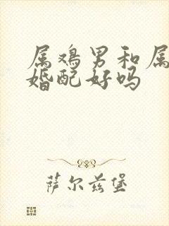 属鸡男和属兔女婚配好吗