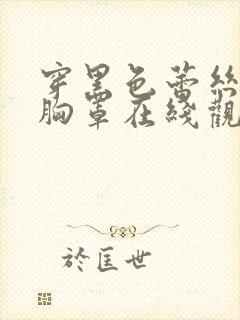 穿黑色蕾丝透明胸罩在线观看