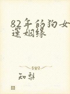 82年的狗女命运姻缘