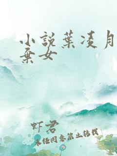 小说叶凌月神医弃女