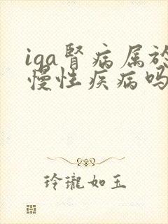 iga肾病属于慢性疾病吗