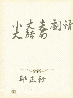 小丈夫剧情介绍大结局