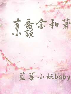 有乔念和萧衡的小说