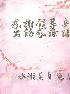 感谢领导辛苦付出的感谢话