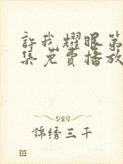 许我耀眼第19集免费播放