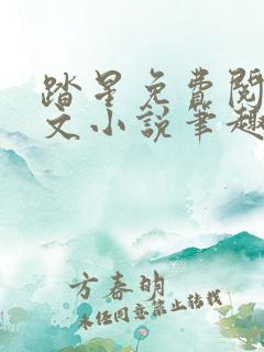 踏星免费阅读全文小说笔趣阁