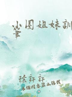 小圈姐妹训诫随笔
