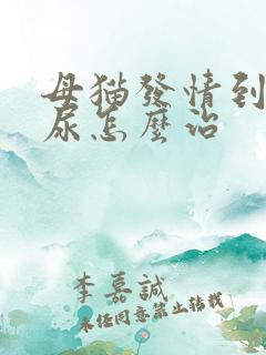 母猫发情到处乱尿怎么治