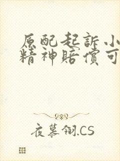 原配起诉小三要精神赔偿可以吗