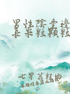 男性阴囊边上张长米粒颗粒