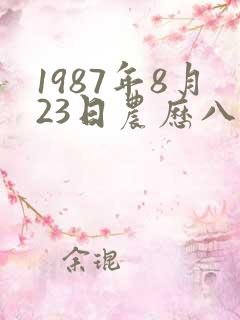 1987年8月23日农历八字