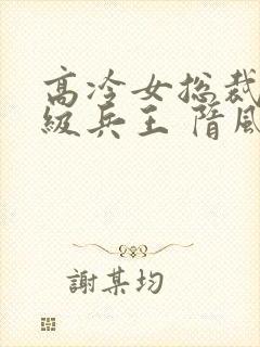 高冷女总裁的超级兵王 隋风天下