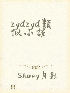 zydzyd类似小说