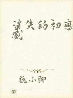 消失的初恋 日剧