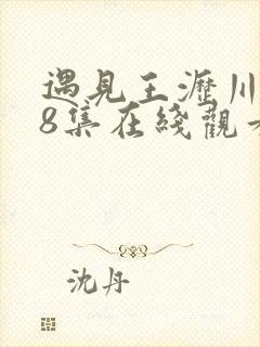 遇见王沥川第38集在线观看