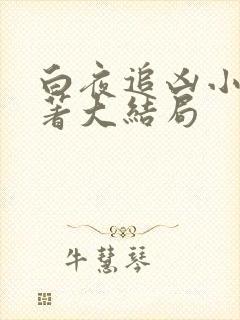 白夜追凶小说原著大结局