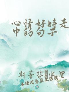 心情好时走在雨中的句子