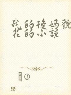 我的后妈貌美如花的小说