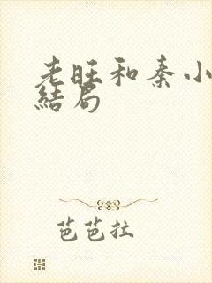 老旺和秦小雨大结局