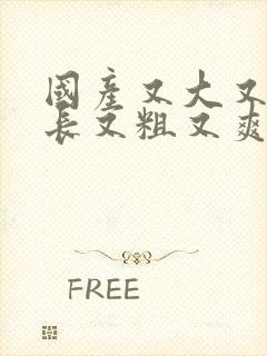 国产又大又硬又长又粗又爽又黄视频