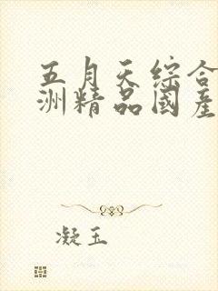 五月天综合网亚洲精品国产精品