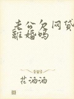 老公欠网贷可以离婚吗