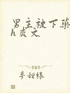 男主被下药后高h爽文