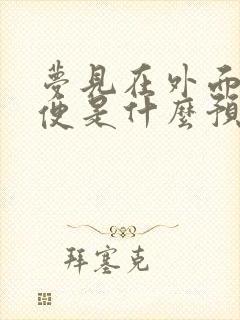 梦见在外面拉大便是什么预兆