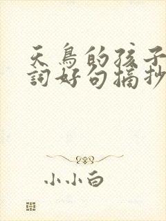 天鸟的孩子们好词好句摘抄